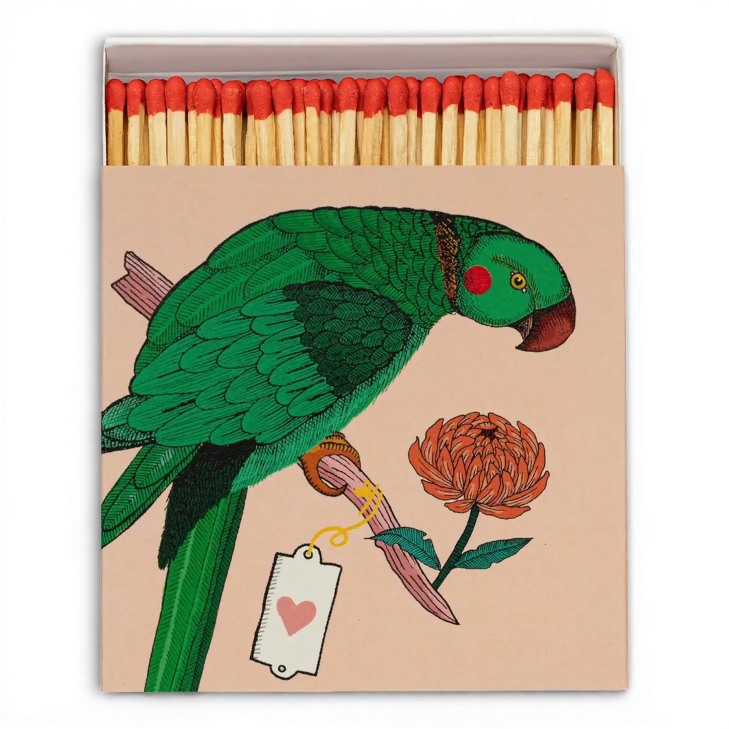 Parrot Square Matchboxes