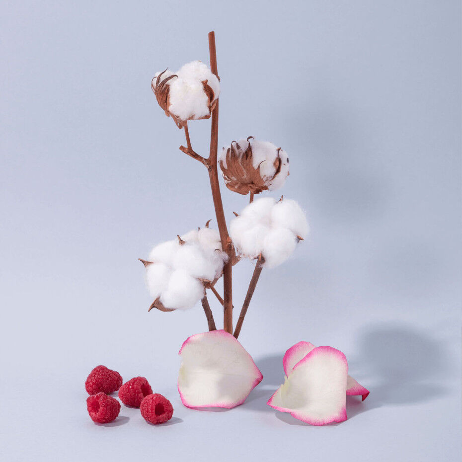 Cotton Flower Liquid Marseille Soap 500ml