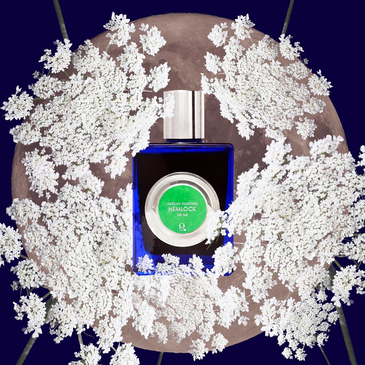 Hemlock - 50mL Full Size Bottle Fragrance