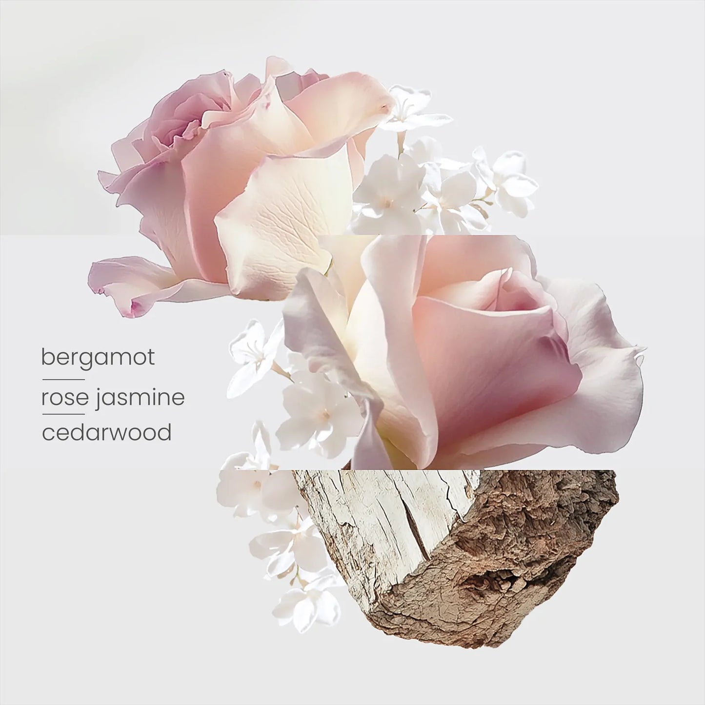 Botanical Gardens EDP (formerly Jardin De Carthage) 50ml