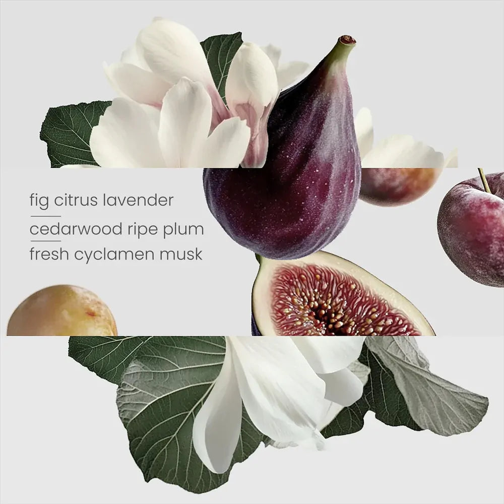 Fig Tree Oil - 15ml