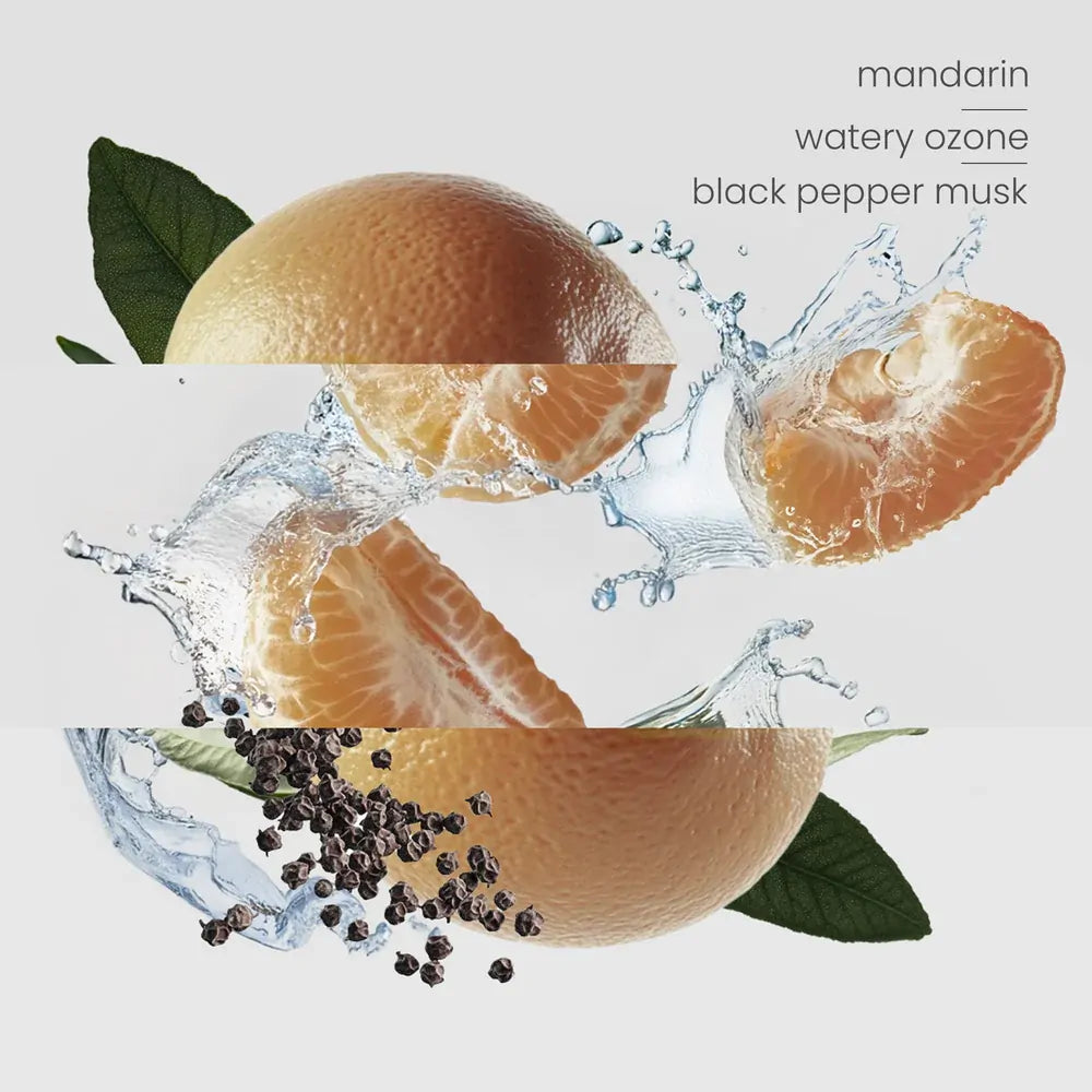 Bondi (formerly Miami) Oil - 15ml