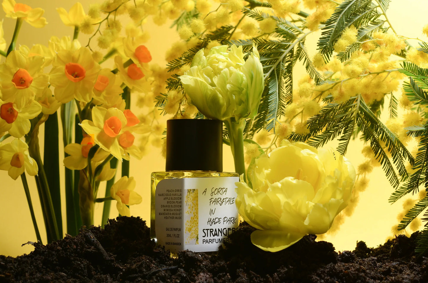 A Sorta Fairy Tale in Hyde Park