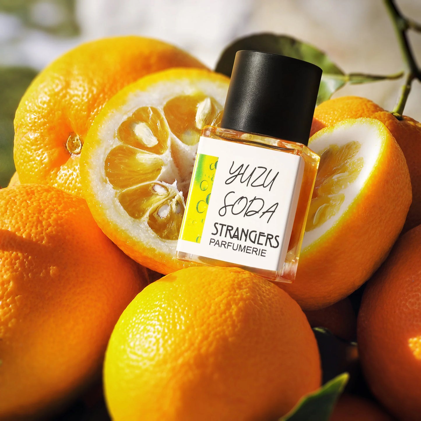 YUZU SODA