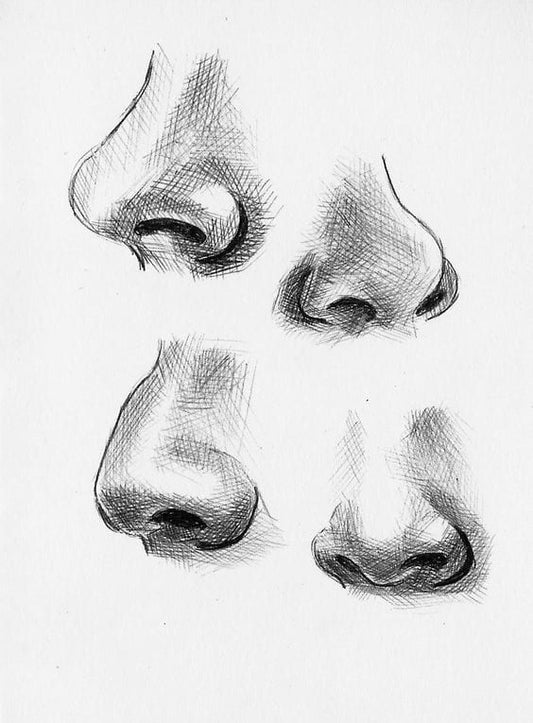 The Limbic Connection: Why Perfume Feels Like Emotion