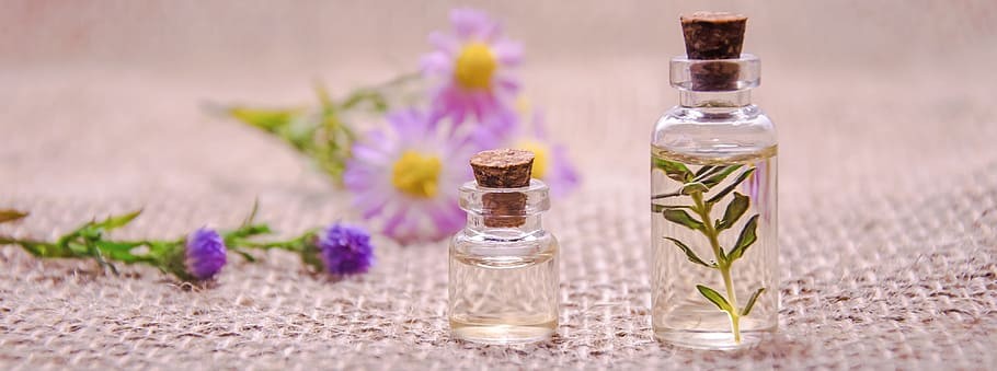 The Power of Scent – Connection parfumerie