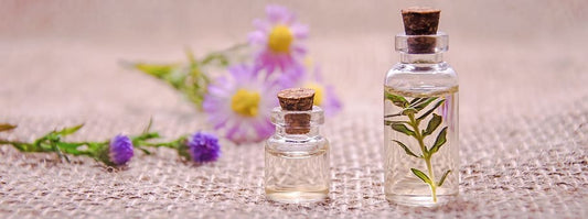 The Power of Scent