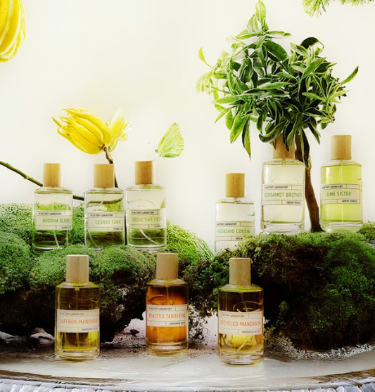Long lasting Citrus