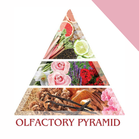 Your Perfume Doesn't Smell the Same All Day (And That's the Point)