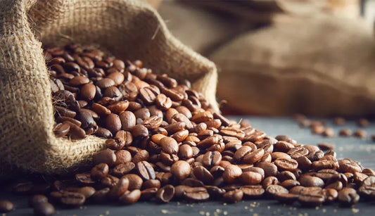 Stop Smelling Coffee Beans Between Perfumes. It Doesn't Work.