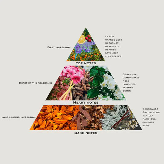 Perfume Composition
