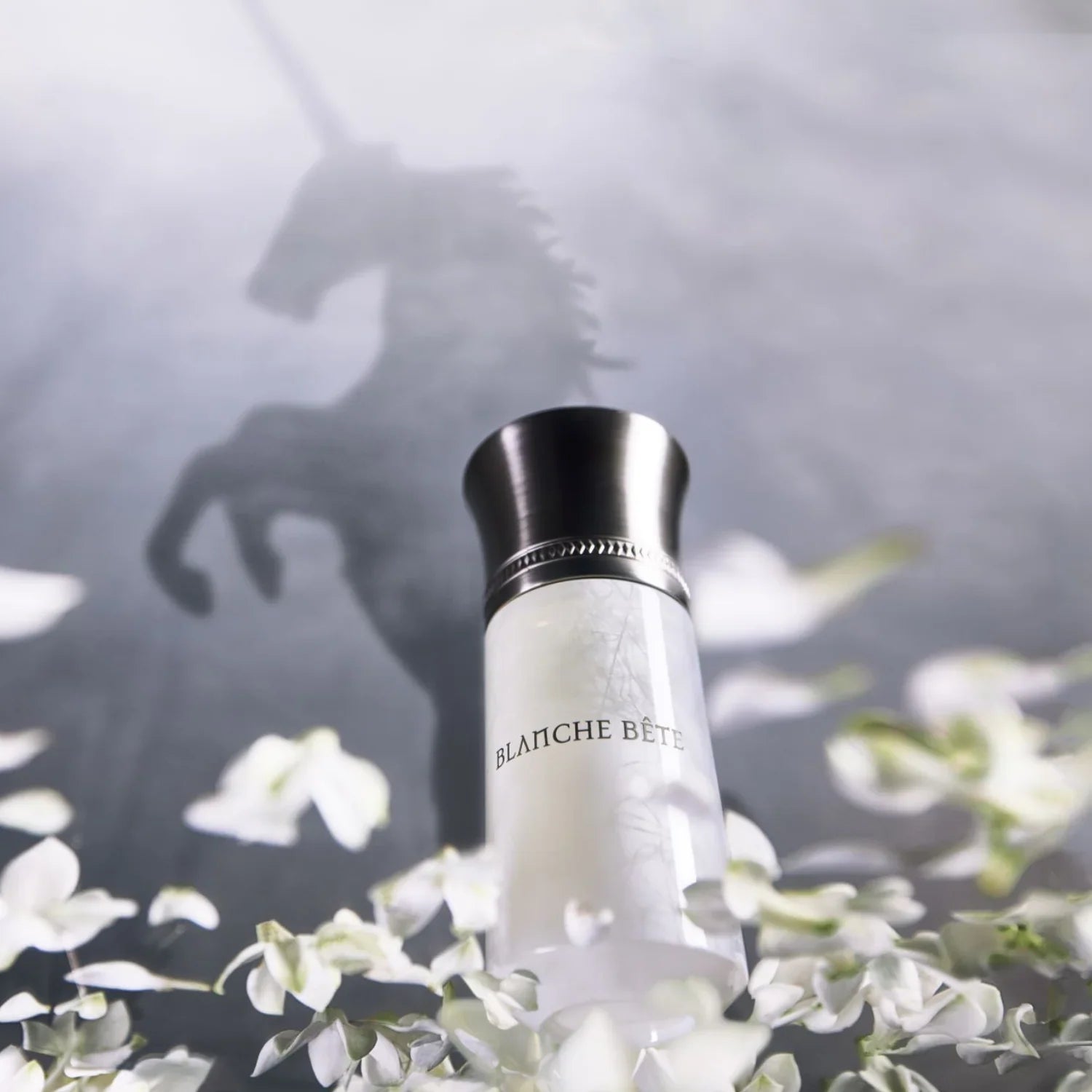 Blanche Bete EDP 50ml – Connection parfumerie Blanche Bete EDP 50ml – Connection parfumerie