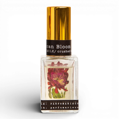 Sonoran Bloom Boxed EDP
