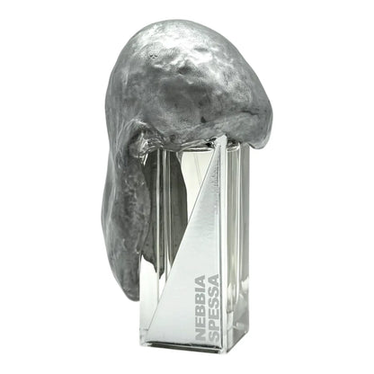 Nebbia Spessa 50 ml