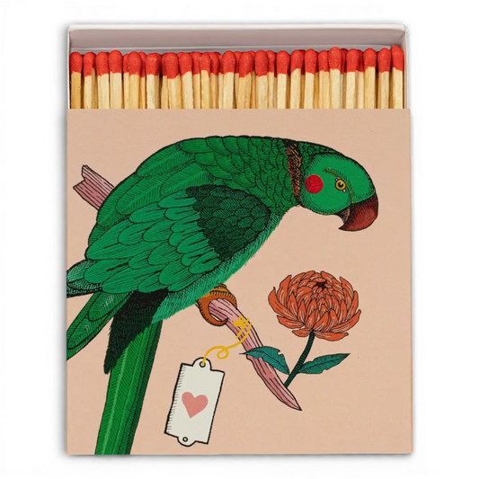 Parrot Square Matchboxes