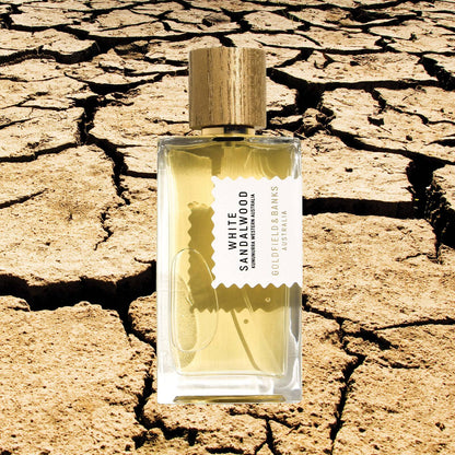 White Sandalwood - 100ml