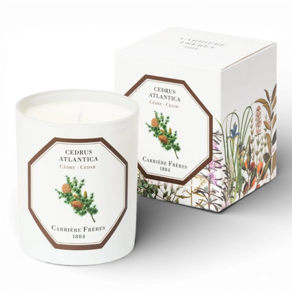 Cedar Candle 185g