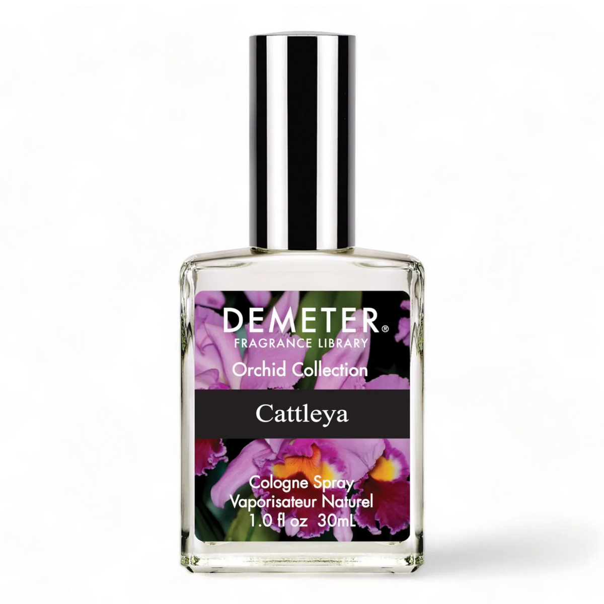 Cattleya