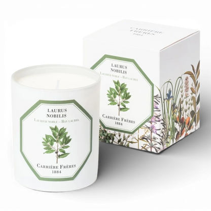 Bay Laurel Candle 185g