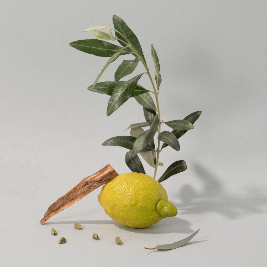 Olive Wood Liquid Marseille Soap 500ml