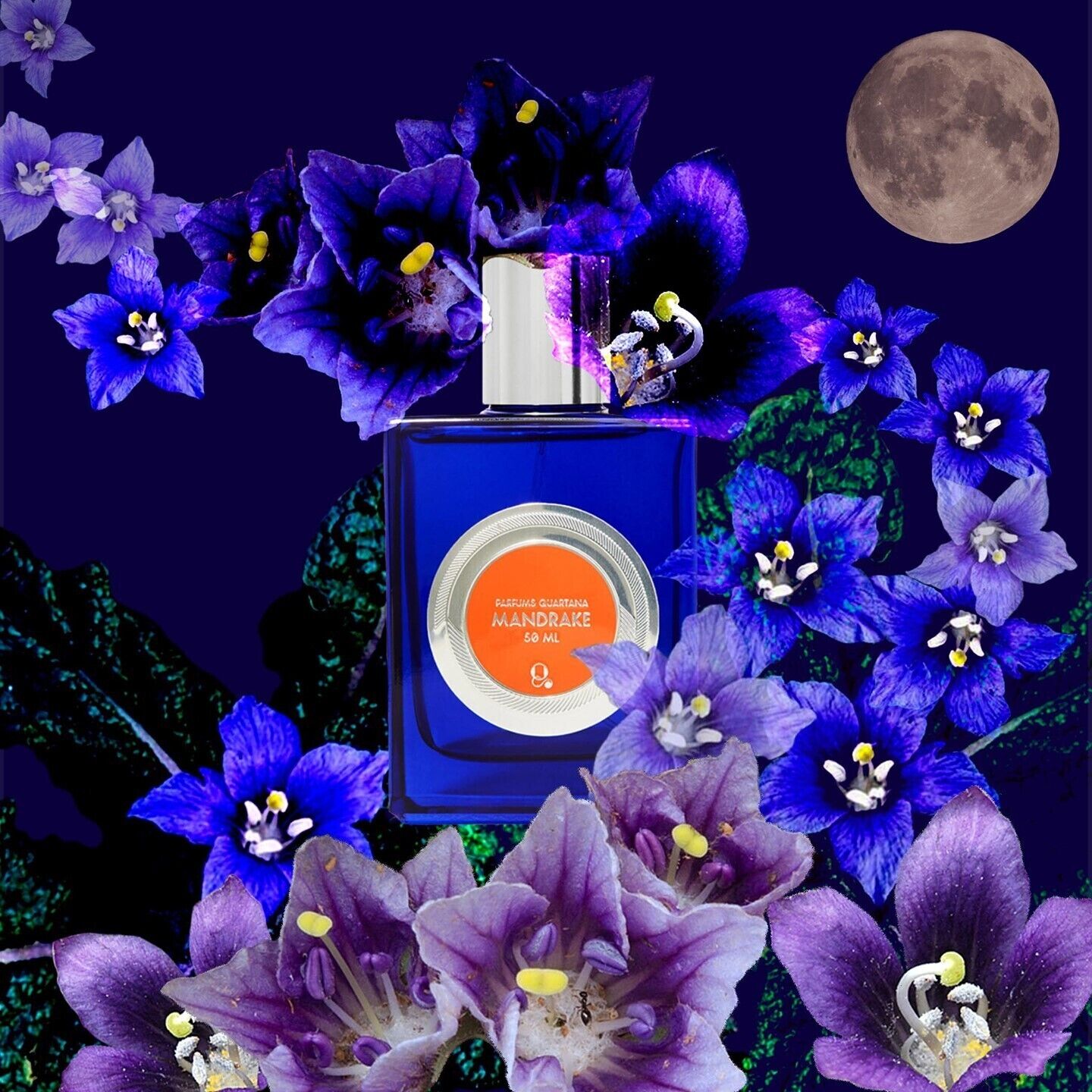 Mandrake - 50mL Full Size Bottle Fragrance