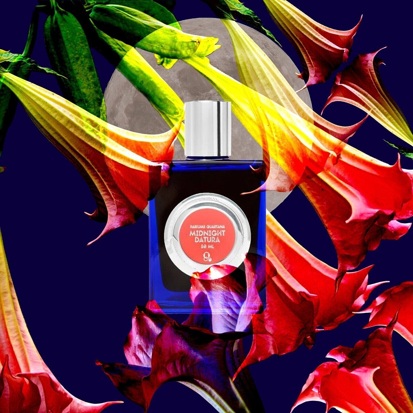 Midnight Datura - 50mL