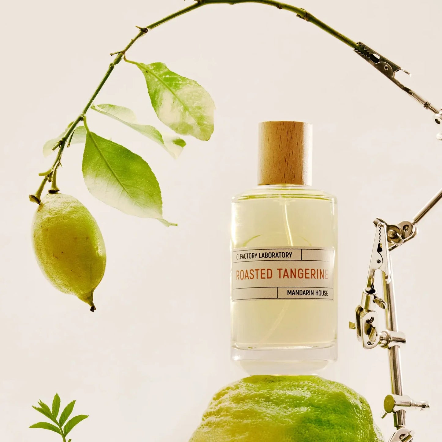 Roasted Tangerine 100ml