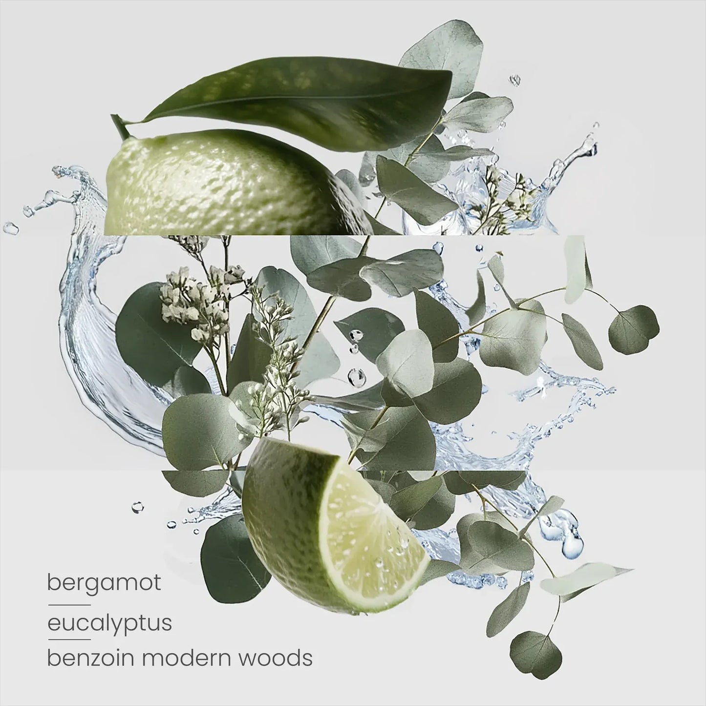 Coral Travel Room Spray 10ml