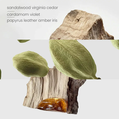 Santal Woods Candle 400g