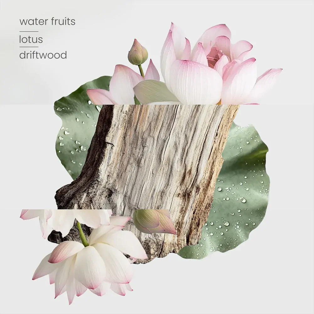 Zen Garden Oil - 15ml