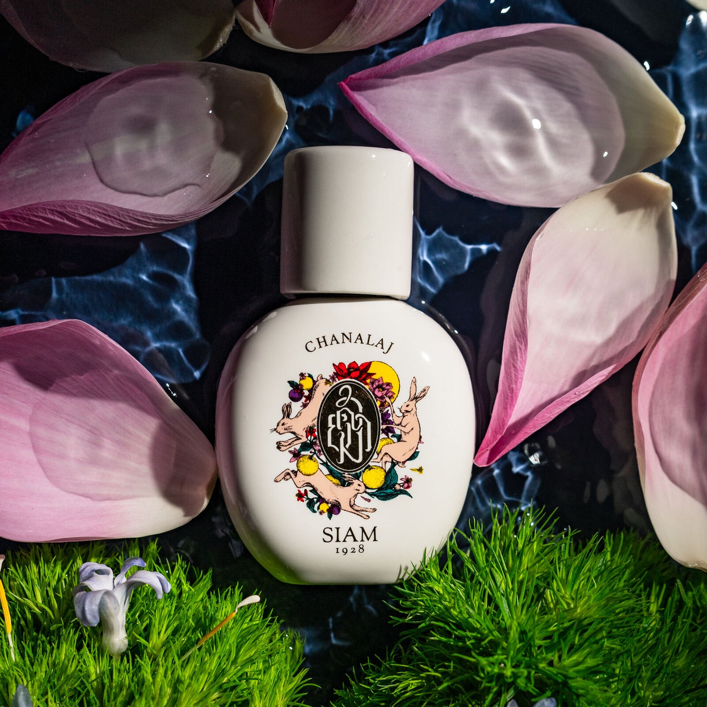 Chanalaj 60ml