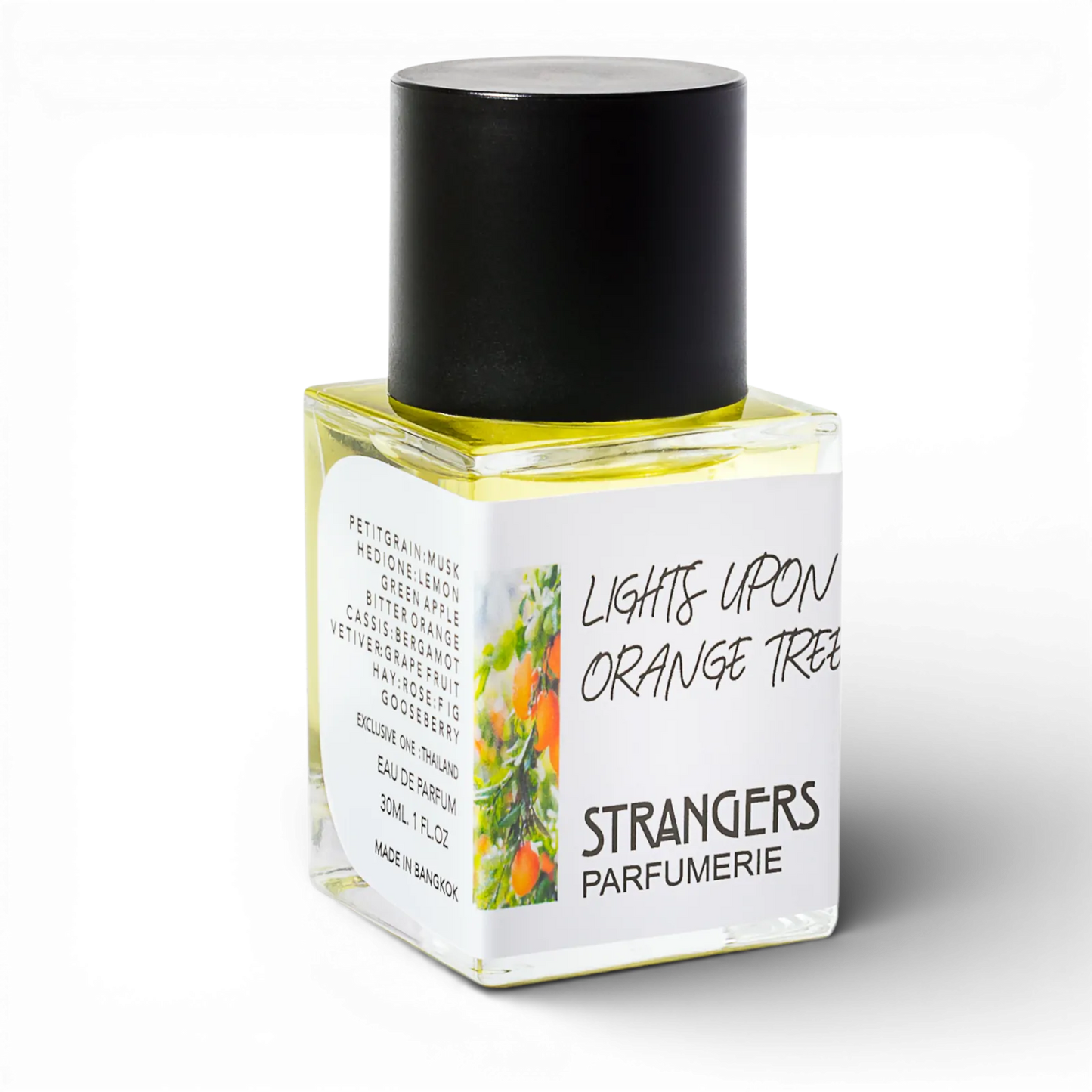 Lights Upon Orange Tree