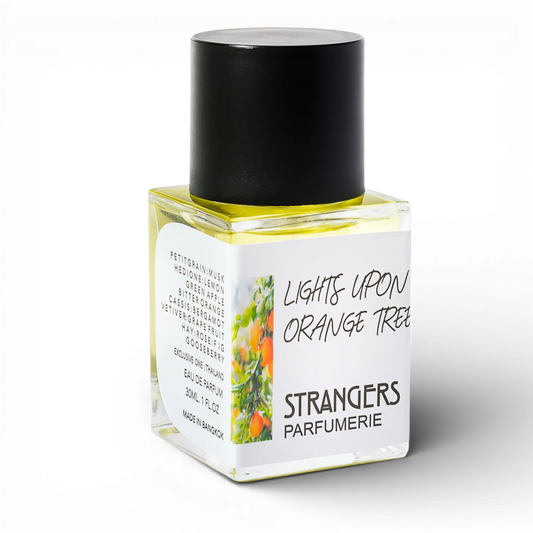 Lights Upon Orange Tree