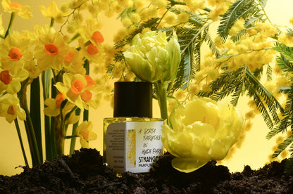 A Sorta Fairy Tale in Hyde Park