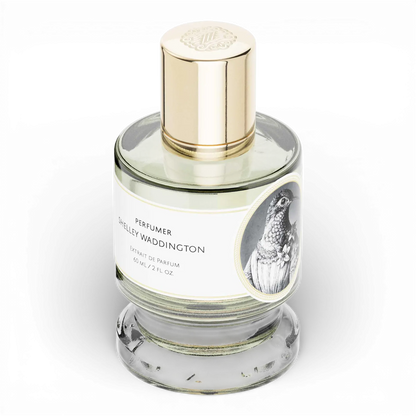 Hummingbird - 60ml