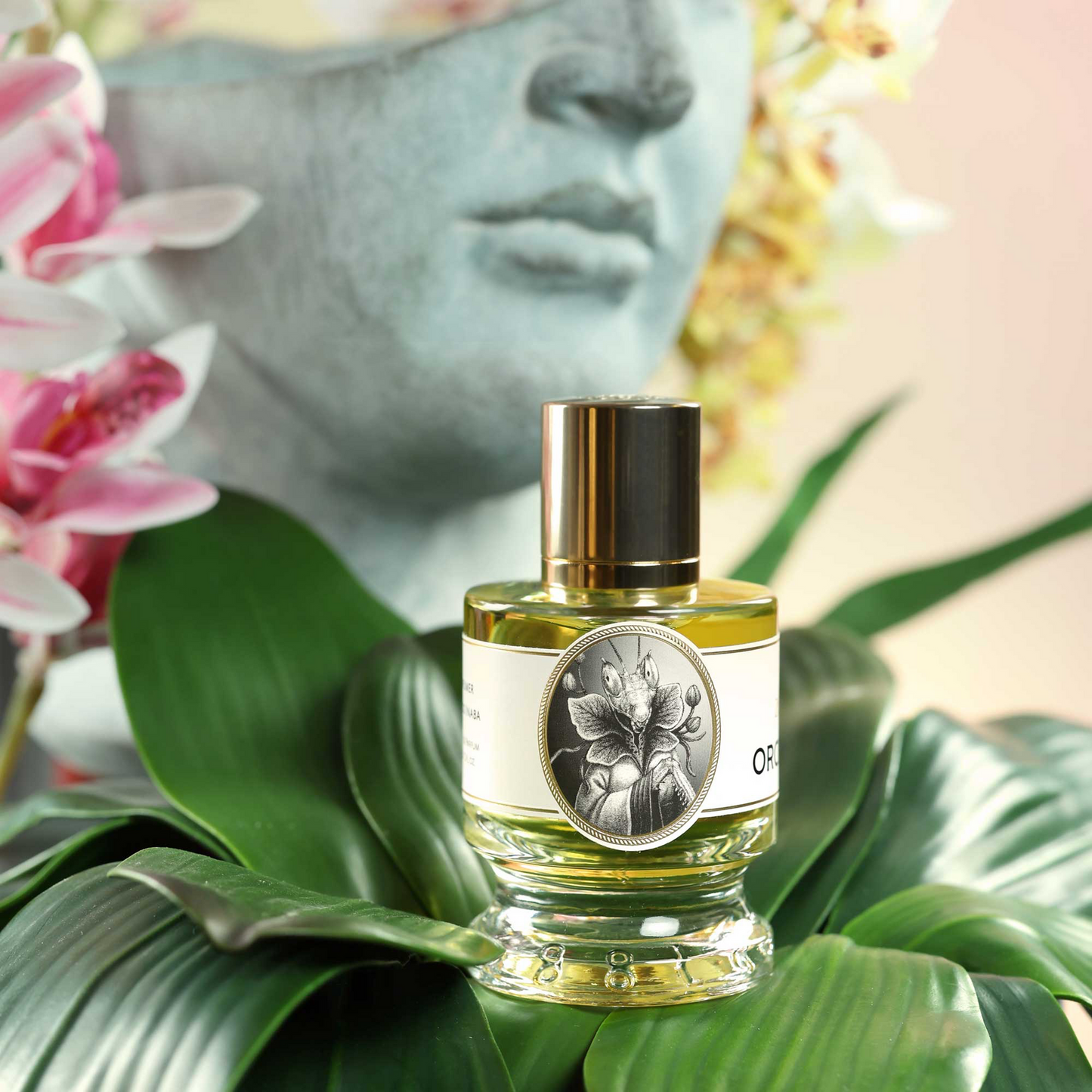 Orchid Mantis - 60ml